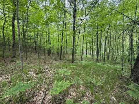 Vl W Timber Trail, Baldwin, MI 49304 photo 18