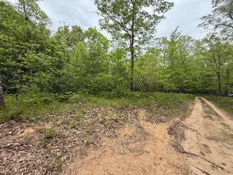 Vl W Timber Trail, Baldwin, MI 49304 photo 16