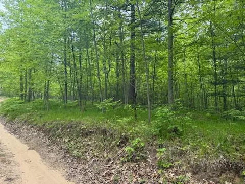 Vl W Timber Trail, Baldwin, MI 49304 photo 20