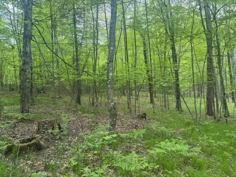 Vl W Timber Trail, Baldwin, MI 49304 photo 6