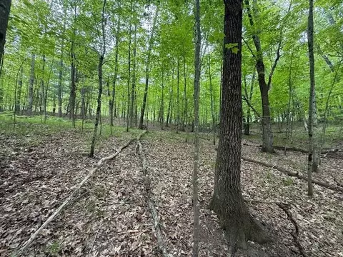 Vl W Timber Trail, Baldwin, MI 49304