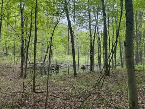 Vl W Timber Trail, Baldwin, MI 49304 photo 3