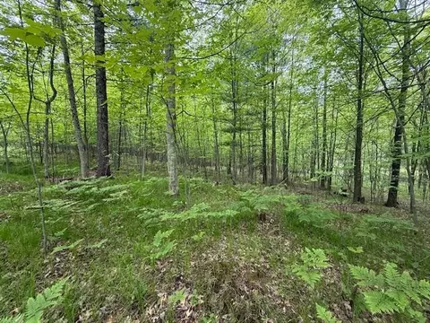 Vl W Timber Trail, Baldwin, MI 49304 photo 22