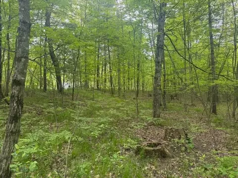Vl W Timber Trail, Baldwin, MI 49304 photo 7