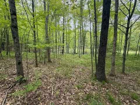 Vl W Timber Trail, Baldwin, MI 49304 photo 8