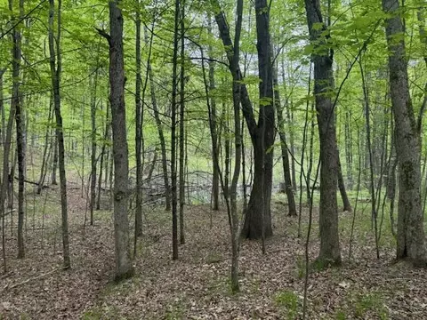 Vl W Timber Trail, Baldwin, MI 49304 photo 2