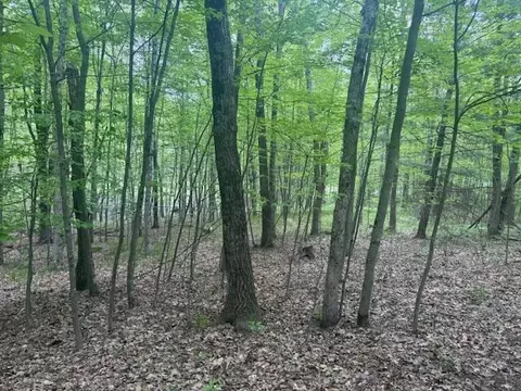 Vl W Timber Trail, Baldwin, MI 49304 photo 12