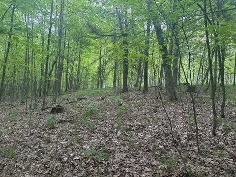 Vl W Timber Trail, Baldwin, MI 49304 photo 13