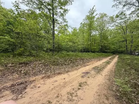 Vl W Timber Trail, Baldwin, MI 49304 photo 17