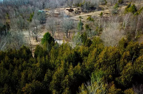 00 Maxey Rd, Arcadia, MI 49613 photo 10