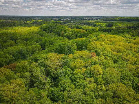 Parcel A E Conrad Road, Custer, MI 49405 photo 6