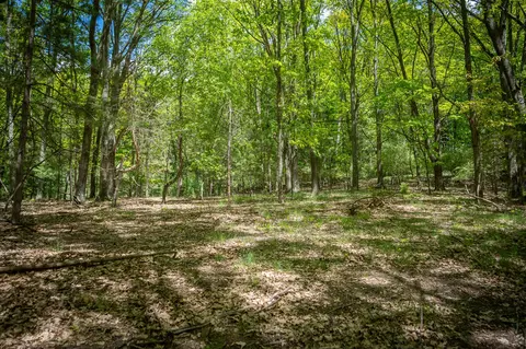 Parcel A E Conrad Road, Custer, MI 49405 photo 12