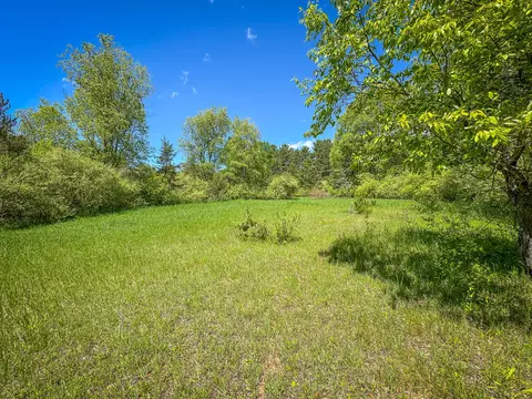 Parcel A E Conrad Road, Custer, MI 49405 photo 26