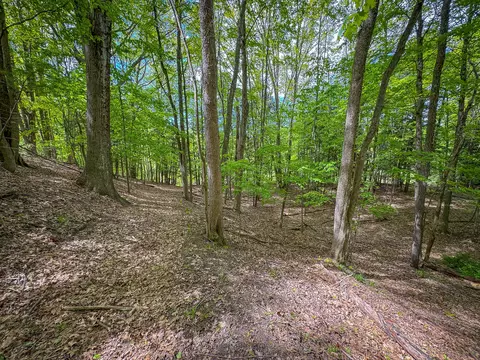 Parcel A E Conrad Road, Custer, MI 49405 photo 34