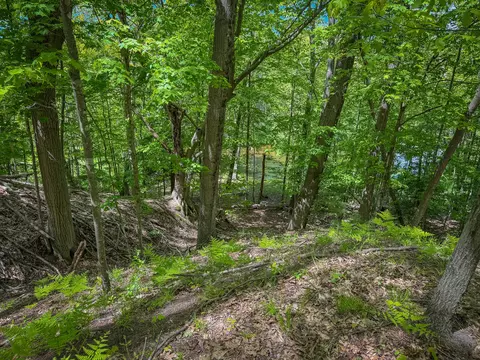 Parcel A E Conrad Road, Custer, MI 49405 photo 32