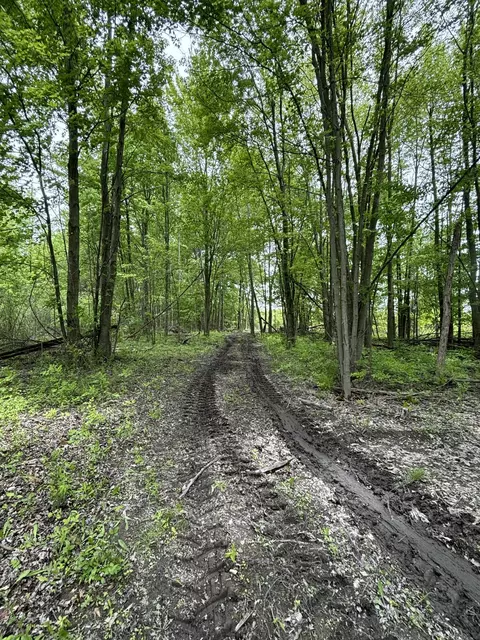 Reeves, Memphis, MI 48041 photo 6