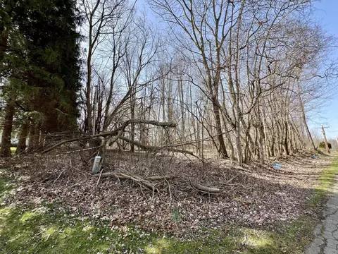 V/l Steininger Road, Marcellus, MI 49067