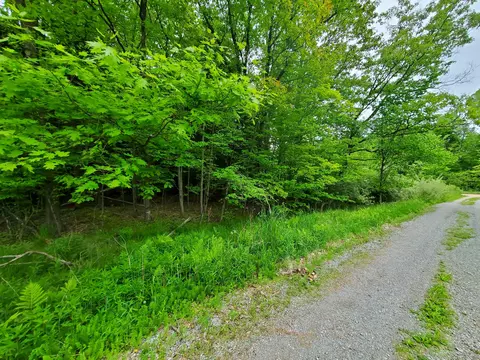V/l E Arthur Road, Rothbury, MI 49452