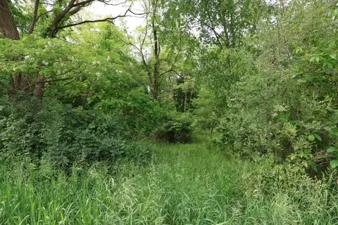V/l Dotson Drive, Sherwood, MI 49089