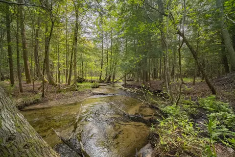 Carter Creek Road, Beulah, MI 49617