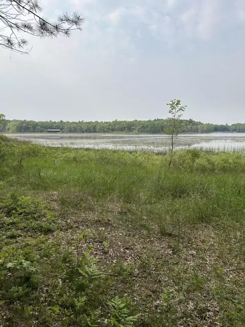 Forest Street, Twin Lake, MI 49457