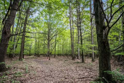 11737 Ellis Road, Ravenna, MI 49451