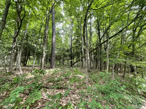 6288 E 22 12 Rd, Manton, MI 49663