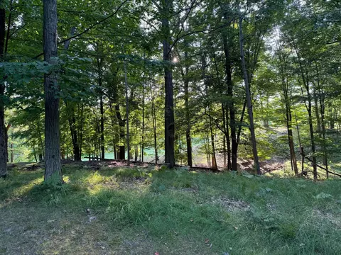 9635 St Ives Dr, Canadian Lakes, MI 49346