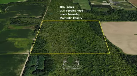 Vl Peoples Road, Edmore, MI 48829