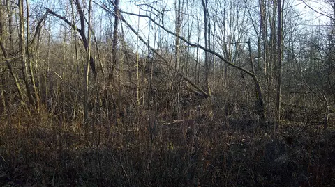 Stewart Road, Cassopolis, MI 49031 photo 4