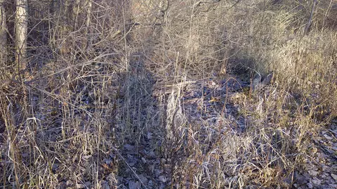 Stewart Road, Cassopolis, MI 49031 photo 5
