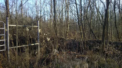 Stewart Road, Cassopolis, MI 49031 photo 2