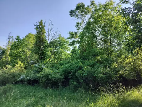 VL 56th Street #B, Fennville, MI 49408