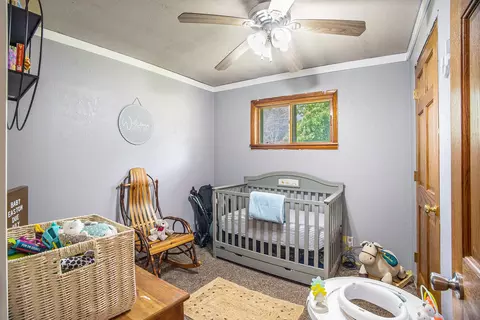 3463 Arthur Rd, Remus, MI 49340 photo 14