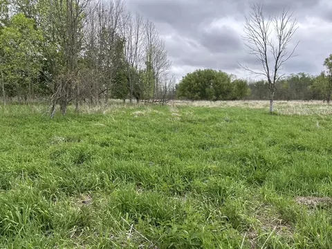 Cunningham Lot 1 Road, Freeport, MI 49325 photo 5