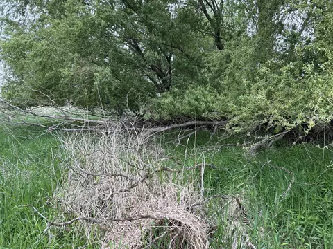 Cunningham Lot 1 Road, Freeport, MI 49325 photo 8