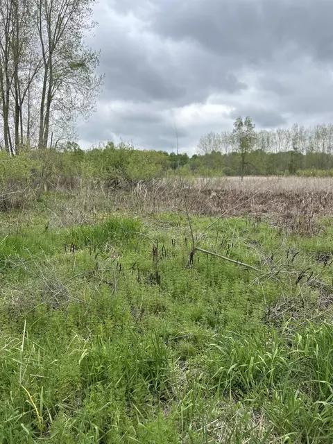 Cunningham Lot 1 Road, Freeport, MI 49325 photo 2