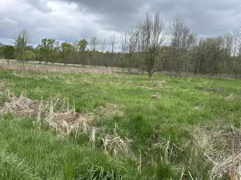 Cunningham Lot 1 Road, Freeport, MI 49325 photo 19