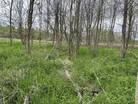 Cunningham Lot 1 Road, Freeport, MI 49325 photo 16