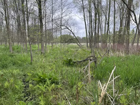 Cunningham Lot 1 Road, Freeport, MI 49325 photo 3