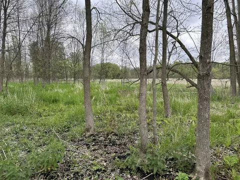 Cunningham Lot 1 Road, Freeport, MI 49325 photo 4