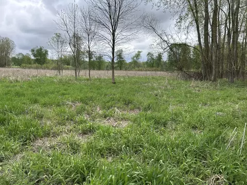 Cunningham Lot 1 Road, Freeport, MI 49325 photo 6