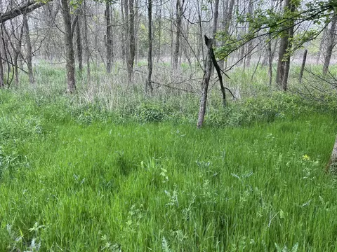 Cunningham Lot 1 Road, Freeport, MI 49325 photo 10