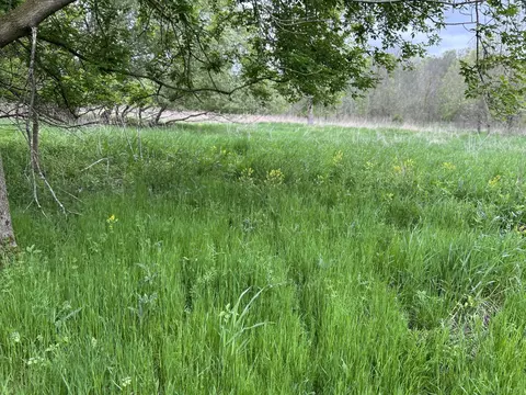 Cunningham Lot 1 Road, Freeport, MI 49325 photo 11