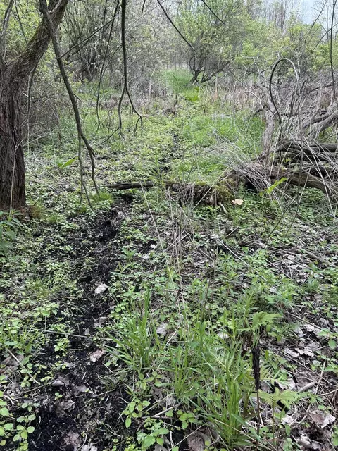 Cunningham Lot 1 Road, Freeport, MI 49325 photo 17