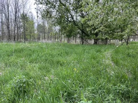 Cunningham Lot 1 Road, Freeport, MI 49325 photo 9
