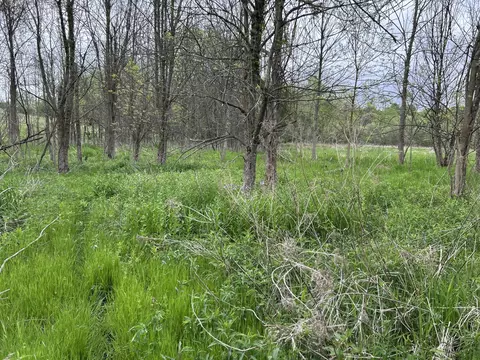 Cunningham Lot 1 Road, Freeport, MI 49325 photo 15