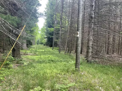 Silver Lake Drive, Shelby, MI 49455