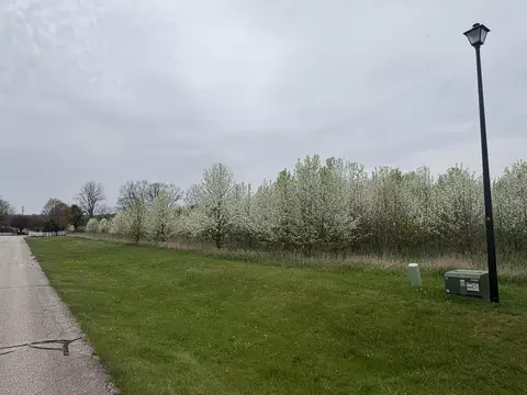 lot1 Stratford Ct, Niles, MI 49120