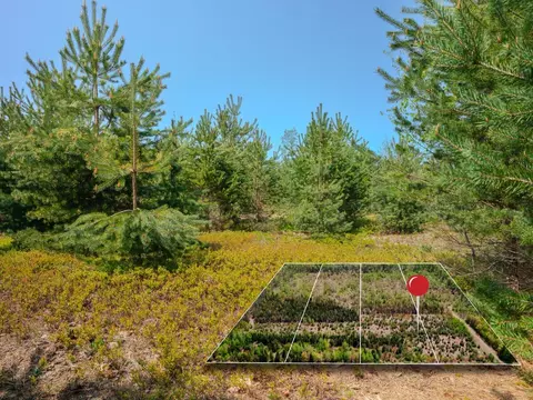 lot3 W Pendills Lake Rd, Brimley, MI 49715 photo 2